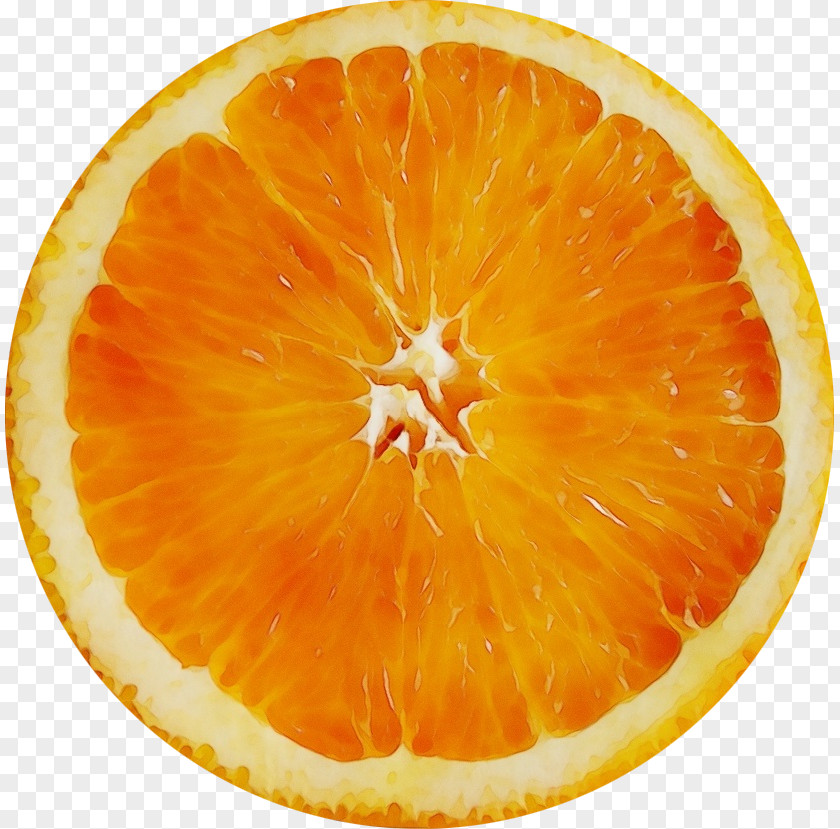 Tangerine Tangelo Orange PNG