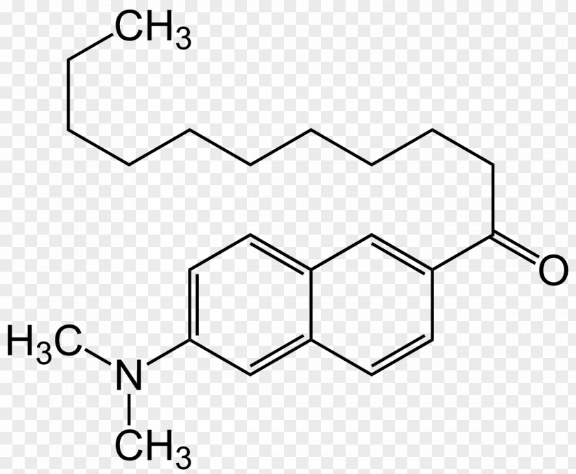 Alkaloid Chemical Compound Molecule Erythroxylum Coca Pyrrolidine PNG