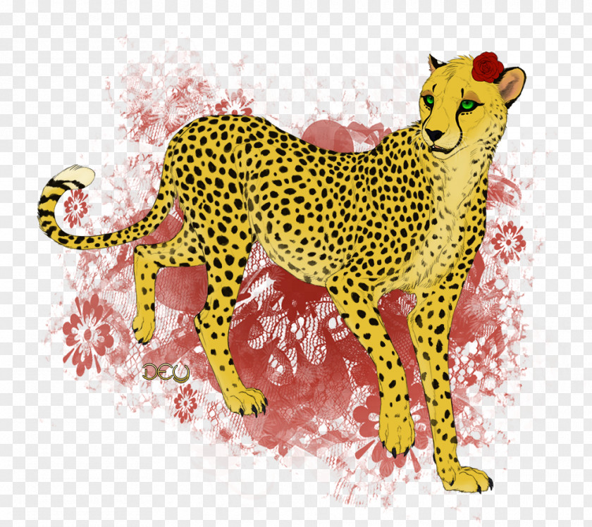 Cheetah Leopard Whiskers Big Cat PNG