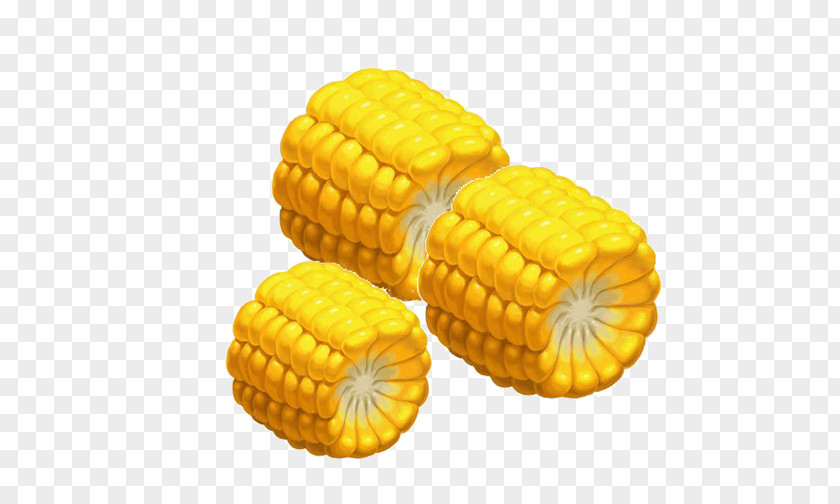 Corn On The Cob Cornbread Maize Kernel PNG