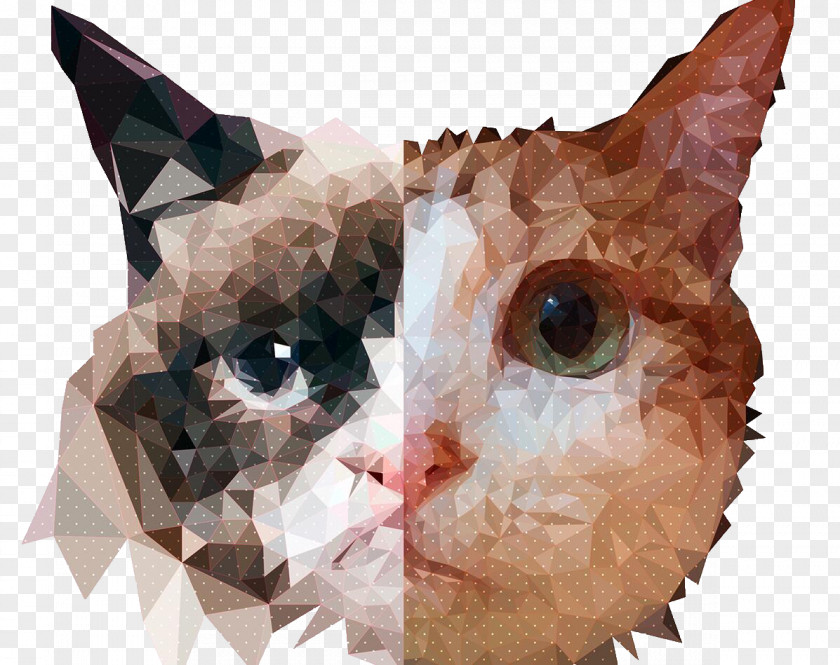 Geometric Cat Whiskers Edge Kitten Geometry PNG