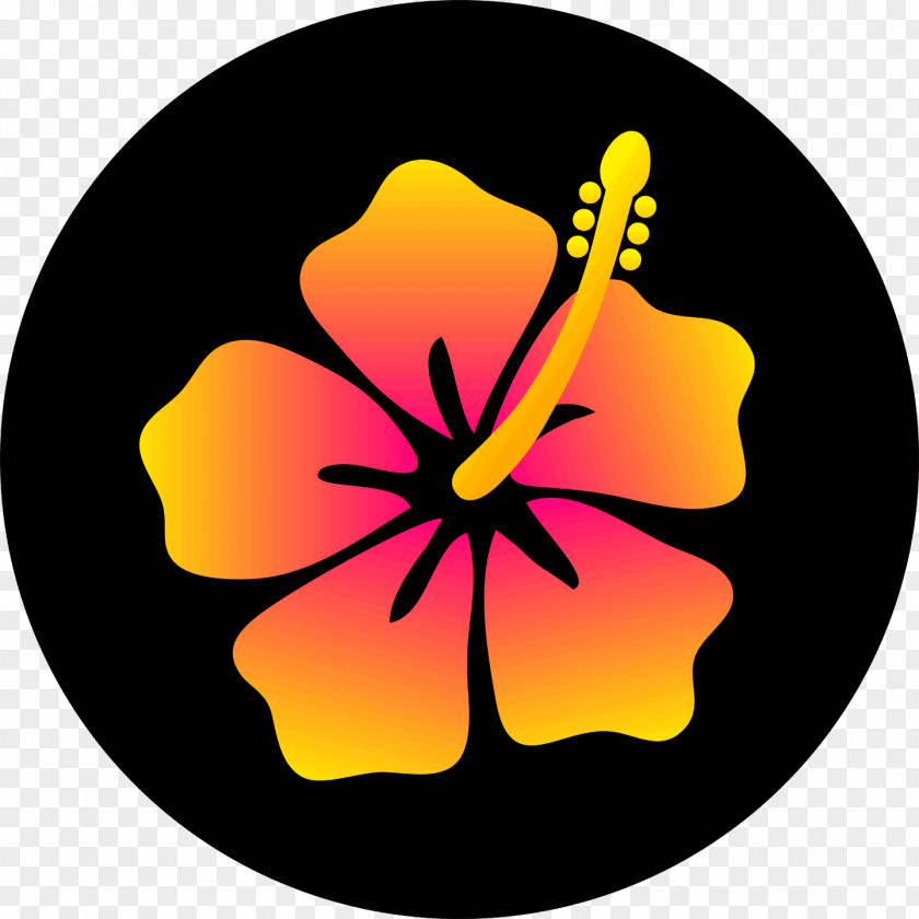 Hibiscus Hawaiian Drawing Flower PNG