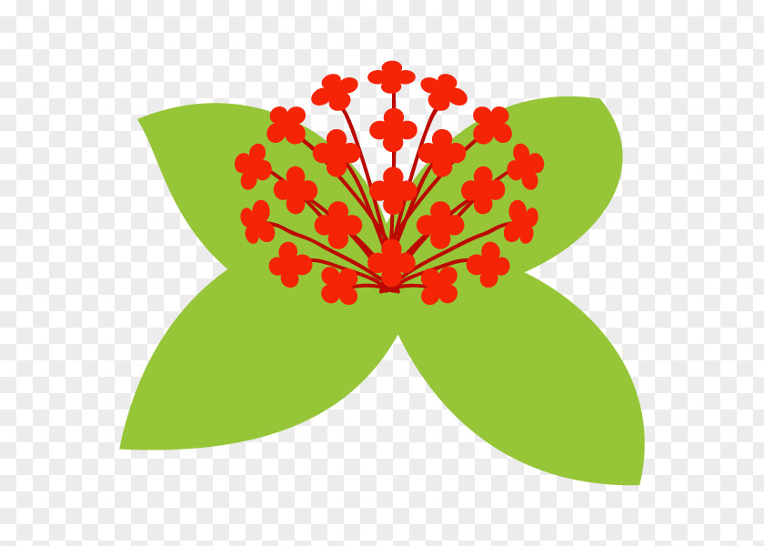 Illustration Flower Petal Clip Art Floral Design PNG