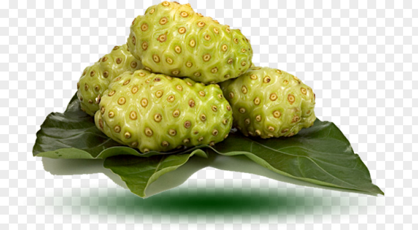 Juice Cheese Fruit Noni Auglis Health PNG