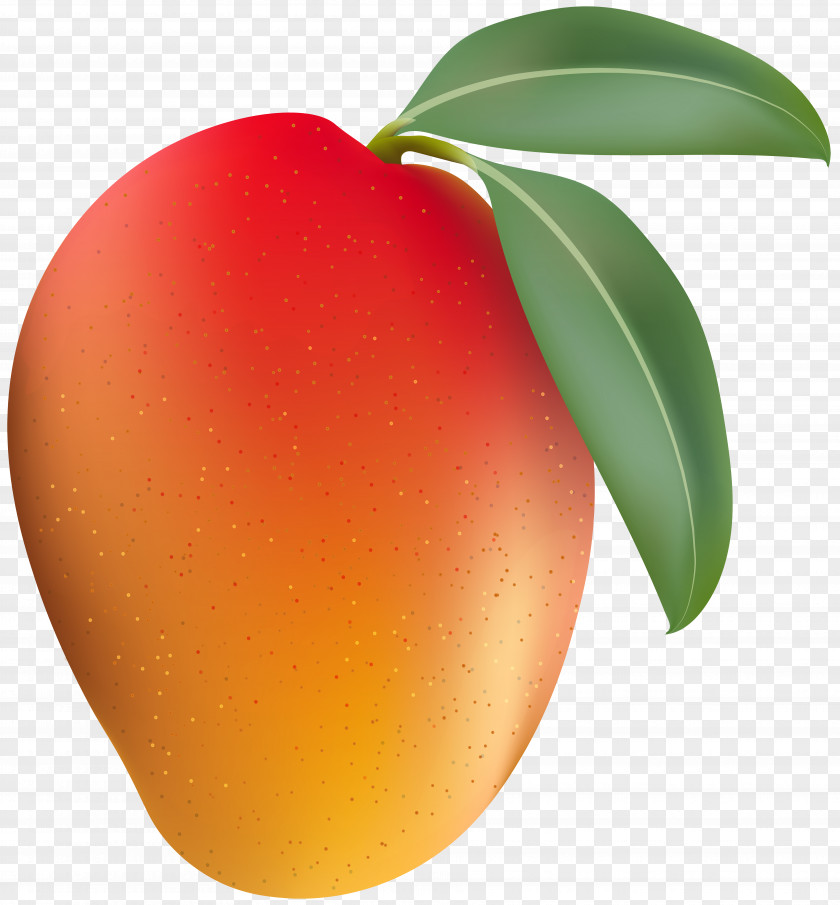 Manggo Juice Food Mango Clip Art PNG