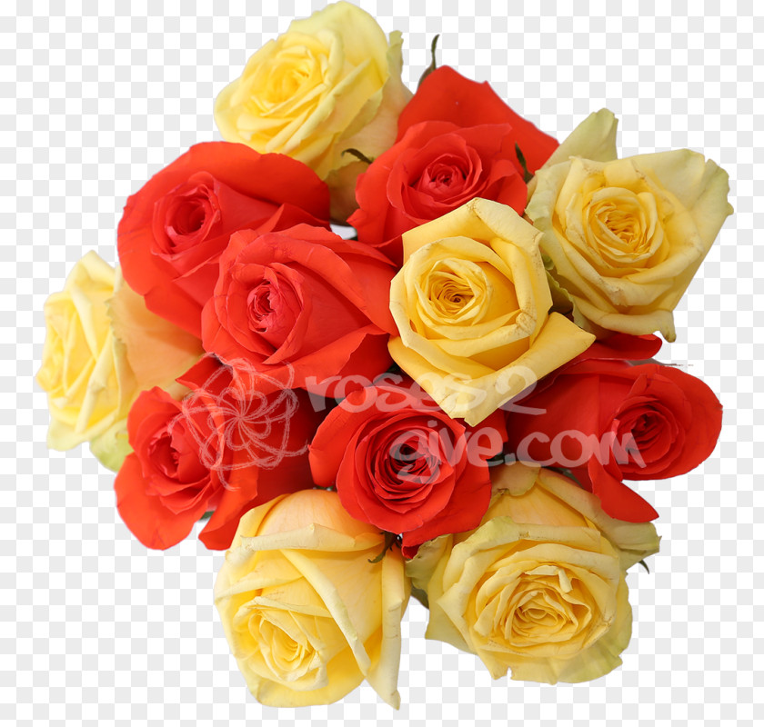 Orange Garden Roses Yellow Red Flower PNG