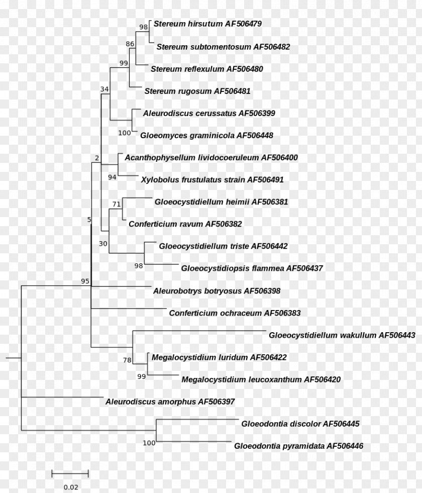 Phylogenetic Tree Prochlorophyta Phylogenetics Prochlorothrix Blue-green Bacteria PNG