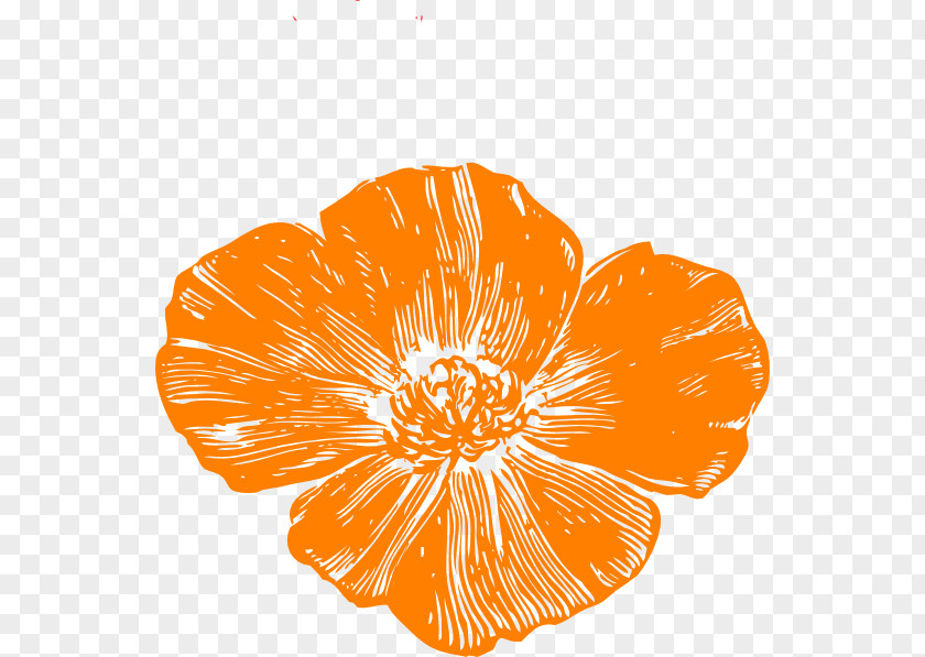 Red Poppy Remembrance Clip Art PNG