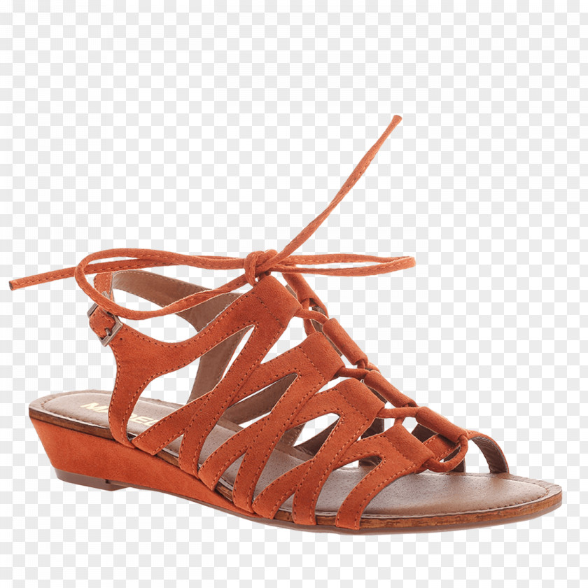 Shoe Sale Page Sandal Slingback Ballet Flat Ankle PNG