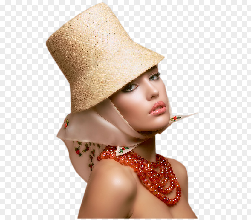 Cappello Paperino Fashion Clothing Accessories Sun Hat Прикраса Ulyana Sergeenko PNG