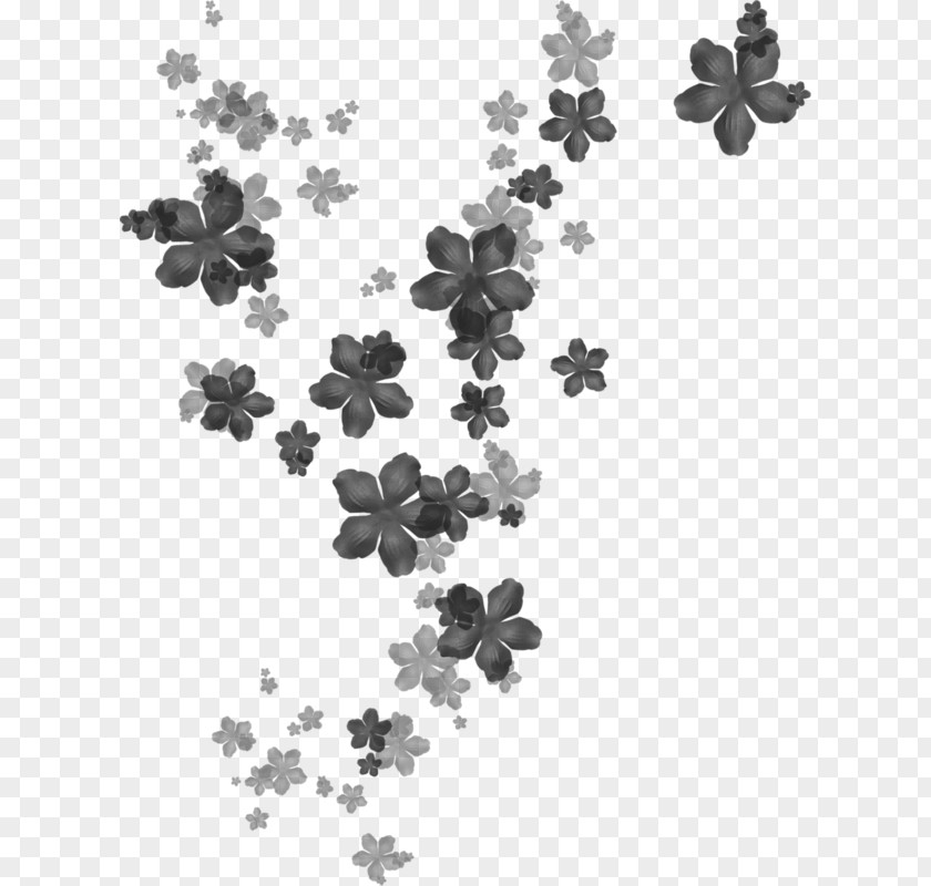 Flowers Black Drawing And White Clip Art PNG