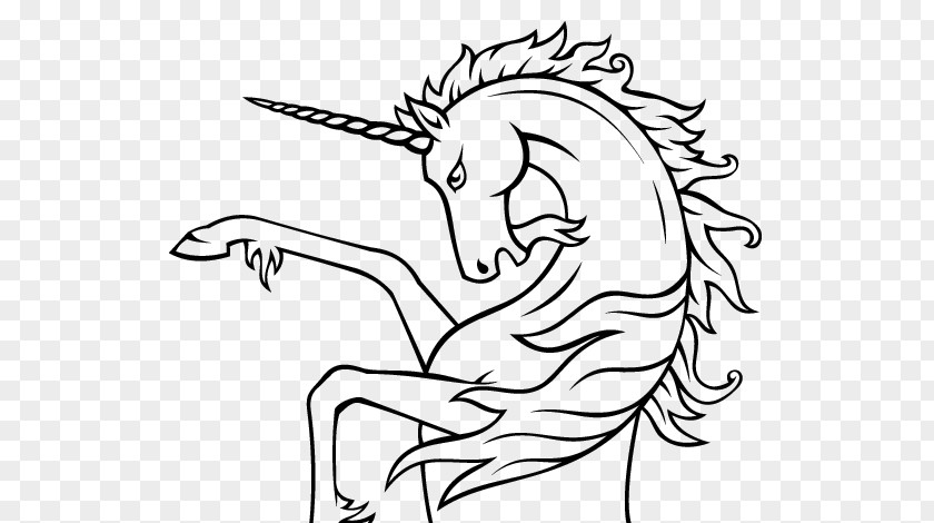 Horse Drawing Unicorn PNG