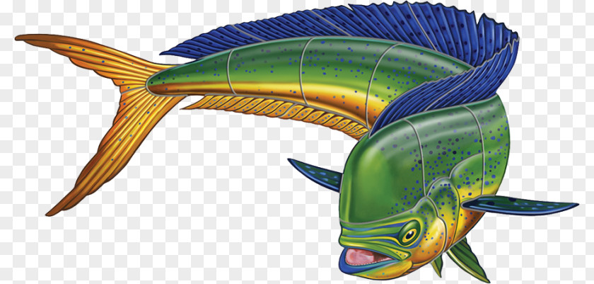 Mahi Fish Mahi-mahi Painting Clip Art PNG