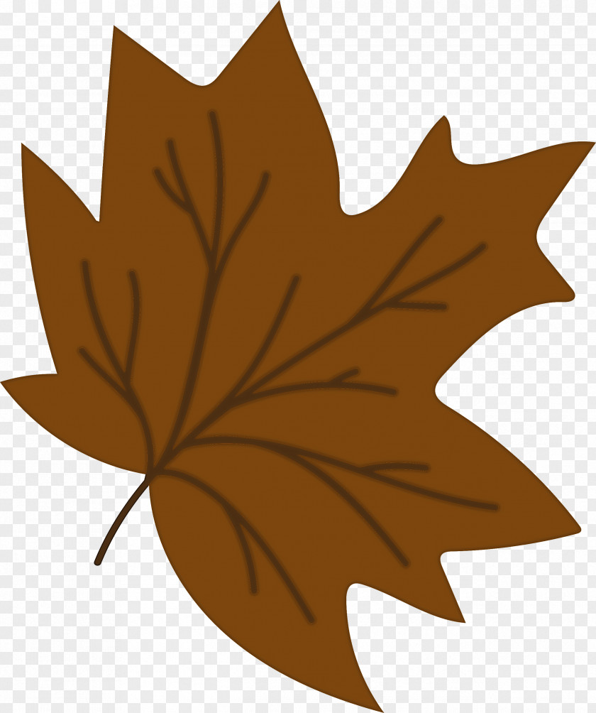 Maple Leaf PNG