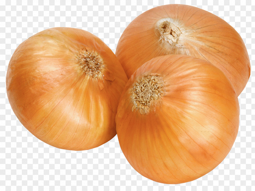 Onion Image, Free Download Picture White Clip Art PNG