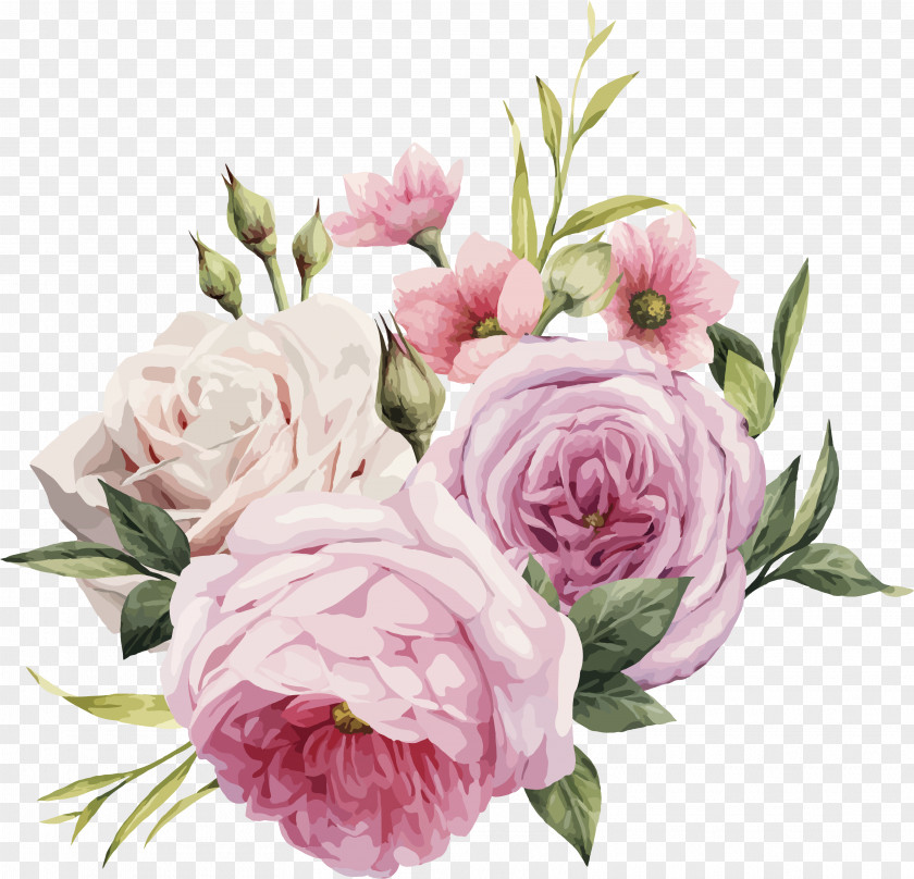 Pink Flowers Clipart Vector Watercolor Painting Rose Graphics PNG