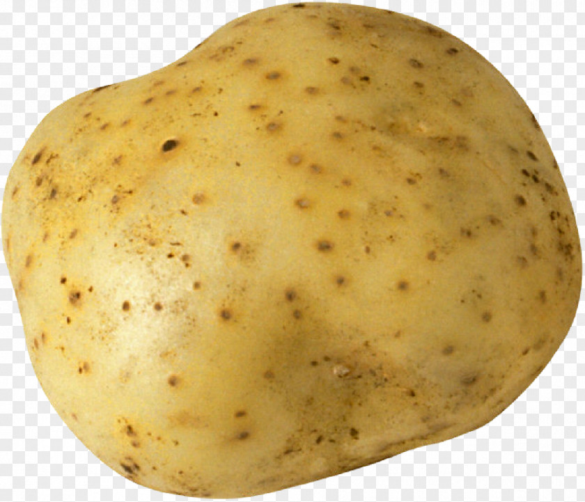 Potato And Tomato Genus Tuber Vegetable PNG