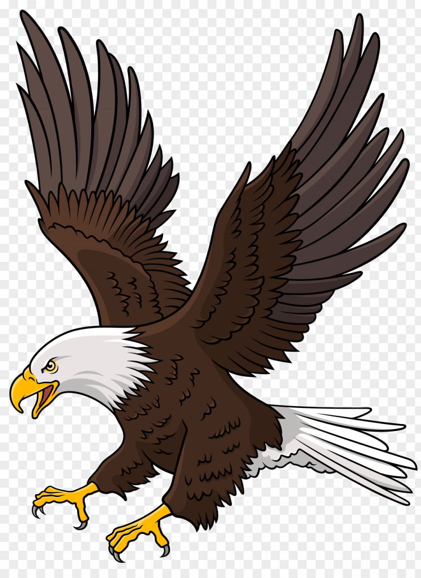 Tail Sea Eagle Bird Logo PNG