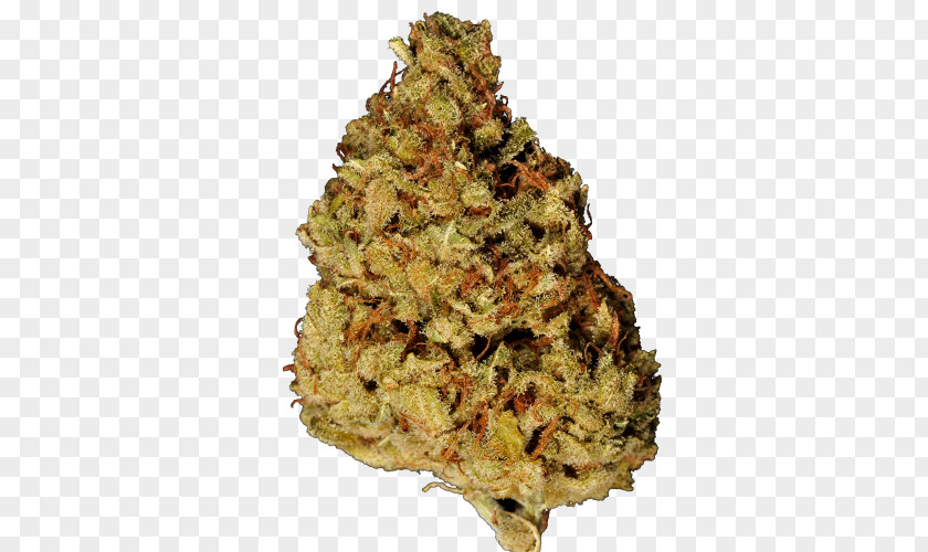 The Green Cross Cannabis Shop Weedmaps Product PNG