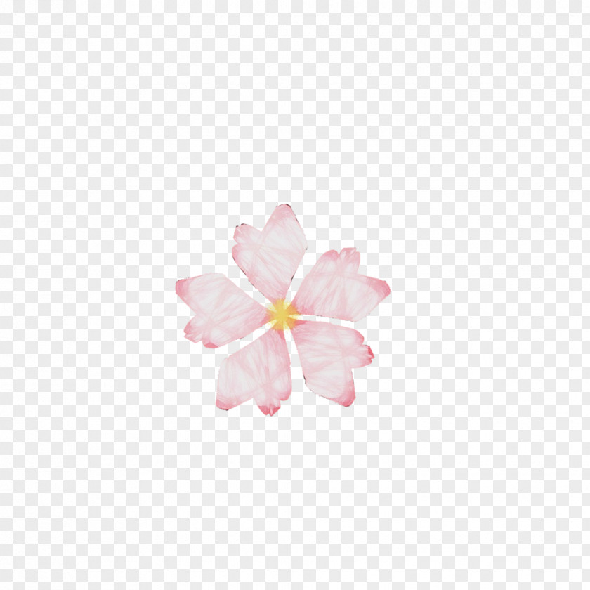 Cherry Blossom Hibiscus PNG