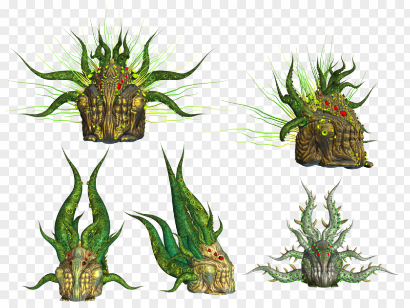 Evil Pineapple Art Stock Bromeliads Plant PNG