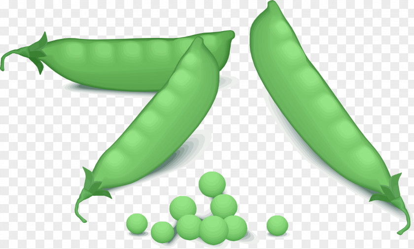 Pea Vegetable Clip Art PNG