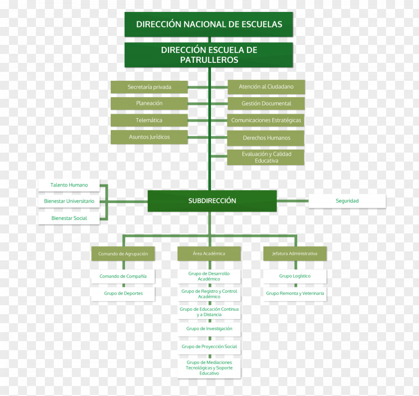 Police Organizational Chart National Of Colombia Directorate Criminal Investigation And Interpol PNG