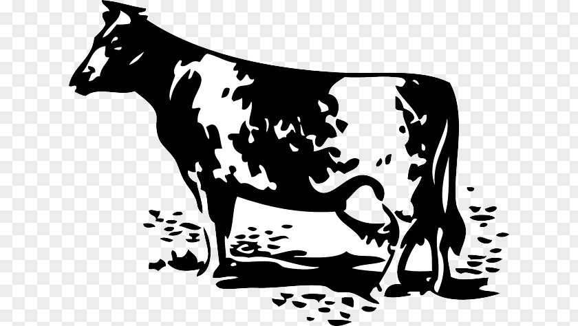 Silhouette Holstein Friesian Cattle Farm Livestock Dairy PNG