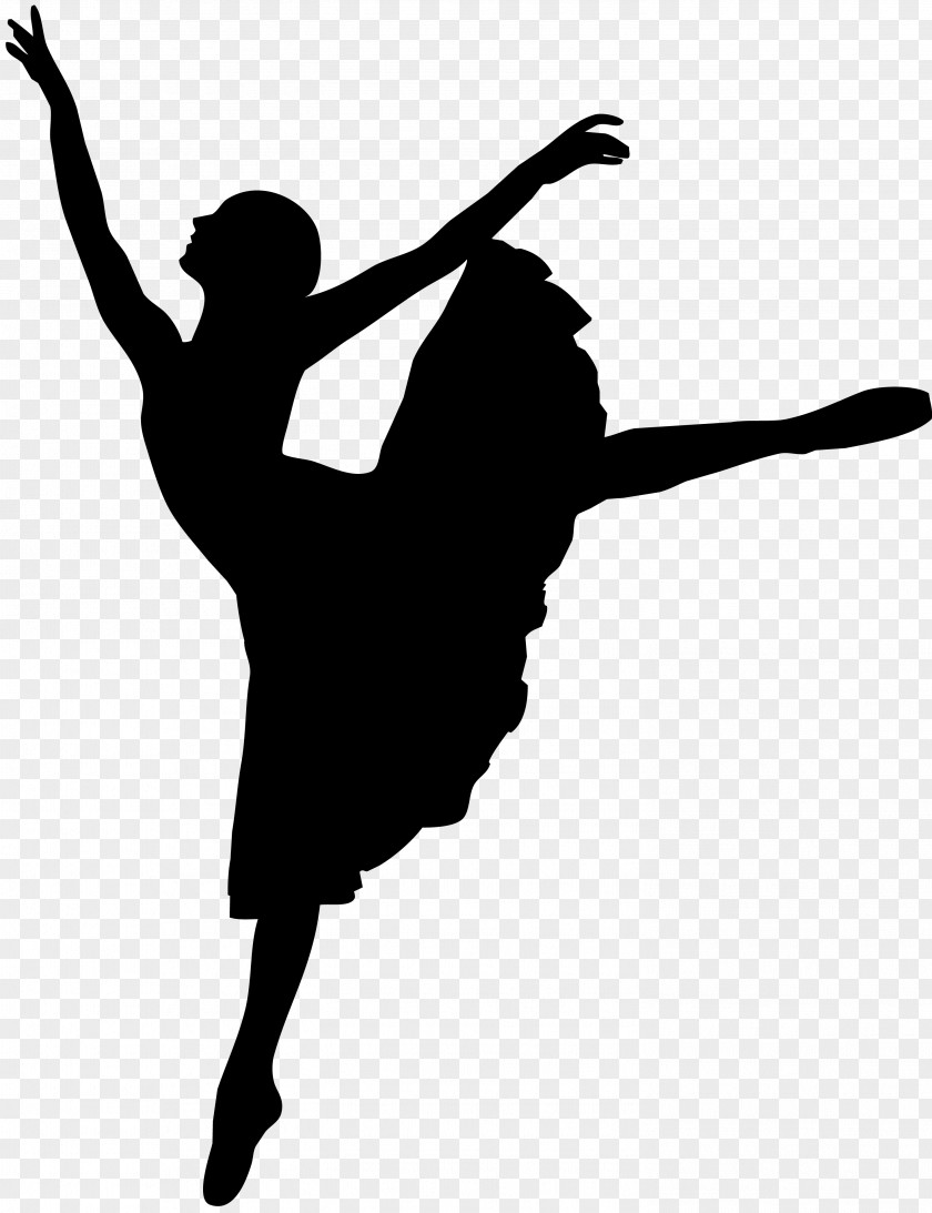 Ballet Dancer Tutu Dance Studio PNG
