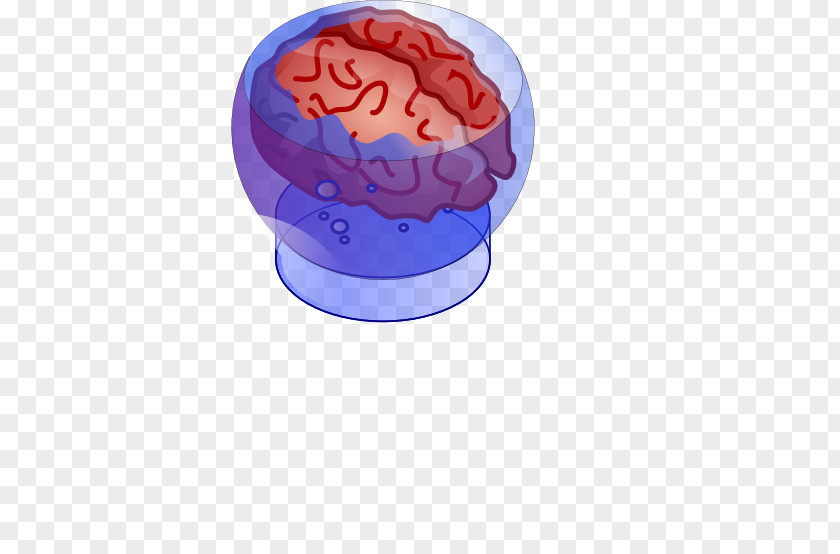 Brain 3D Printing PNG