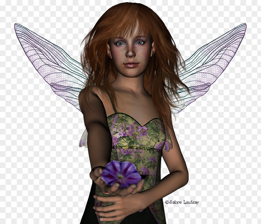 Fairy Long Hair PNG