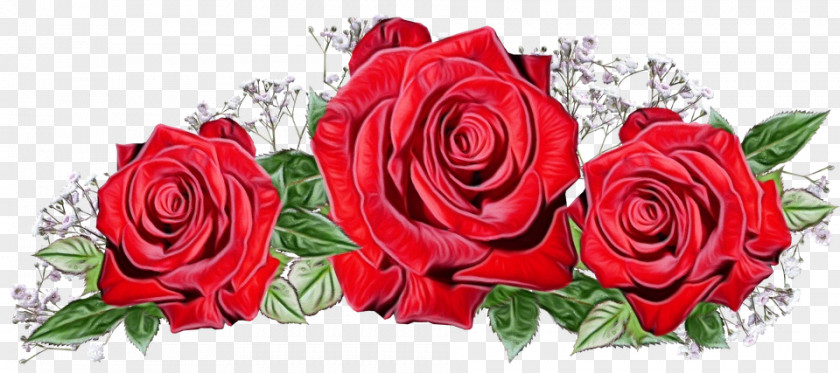 Floral Design PNG