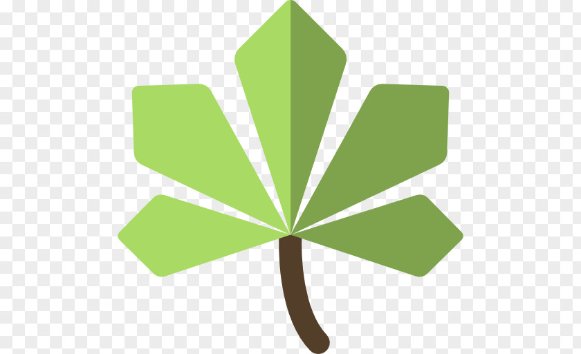 Leaf Maple PNG