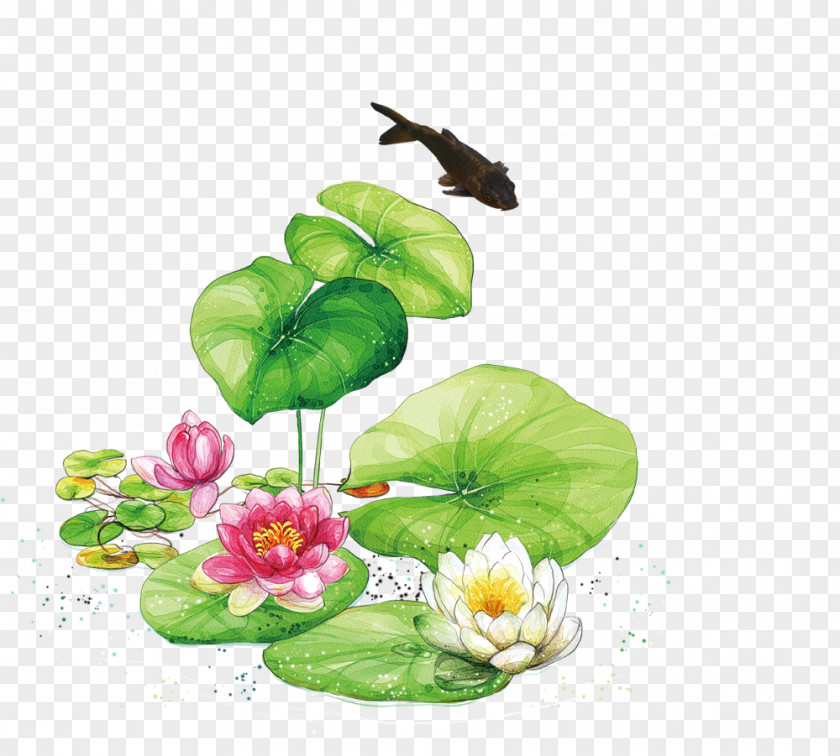 Lotus Leaf Fish Lichun Yushui Chunfen Jingzhe Daxue PNG