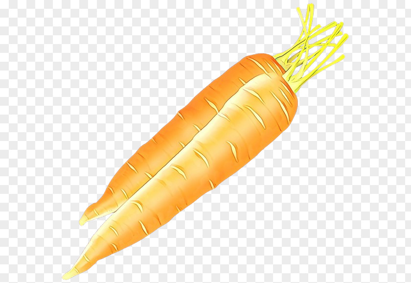Plant Arracacia Xanthorrhiza Carrot Vegetable Root Wild Food PNG