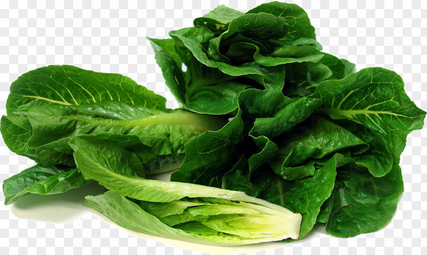 Salad Spinach Red Leaf Lettuce Romaine Vegetable PNG