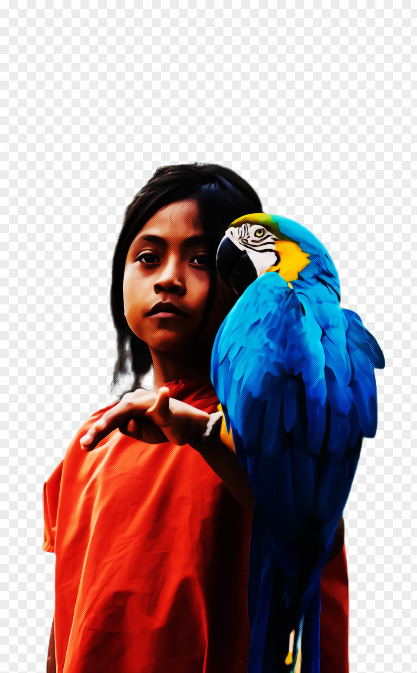 Bird Cobalt Parrot PNG