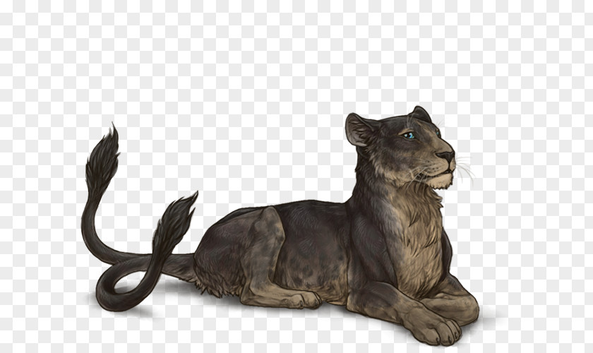 Lion Adinkra Symbols Drawing Melanism Felidae PNG