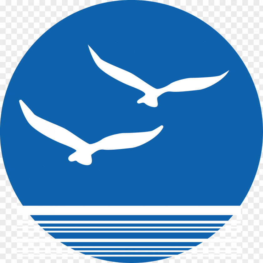 Sea Gulls Clip Bird Euclidean Vector PNG