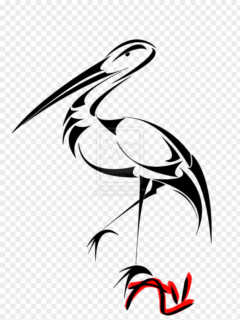Stork Drawing Line Art Bird PNG