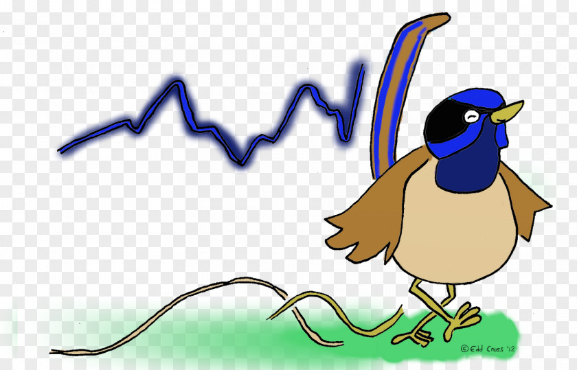 Cockatoo Bird Art Clip PNG