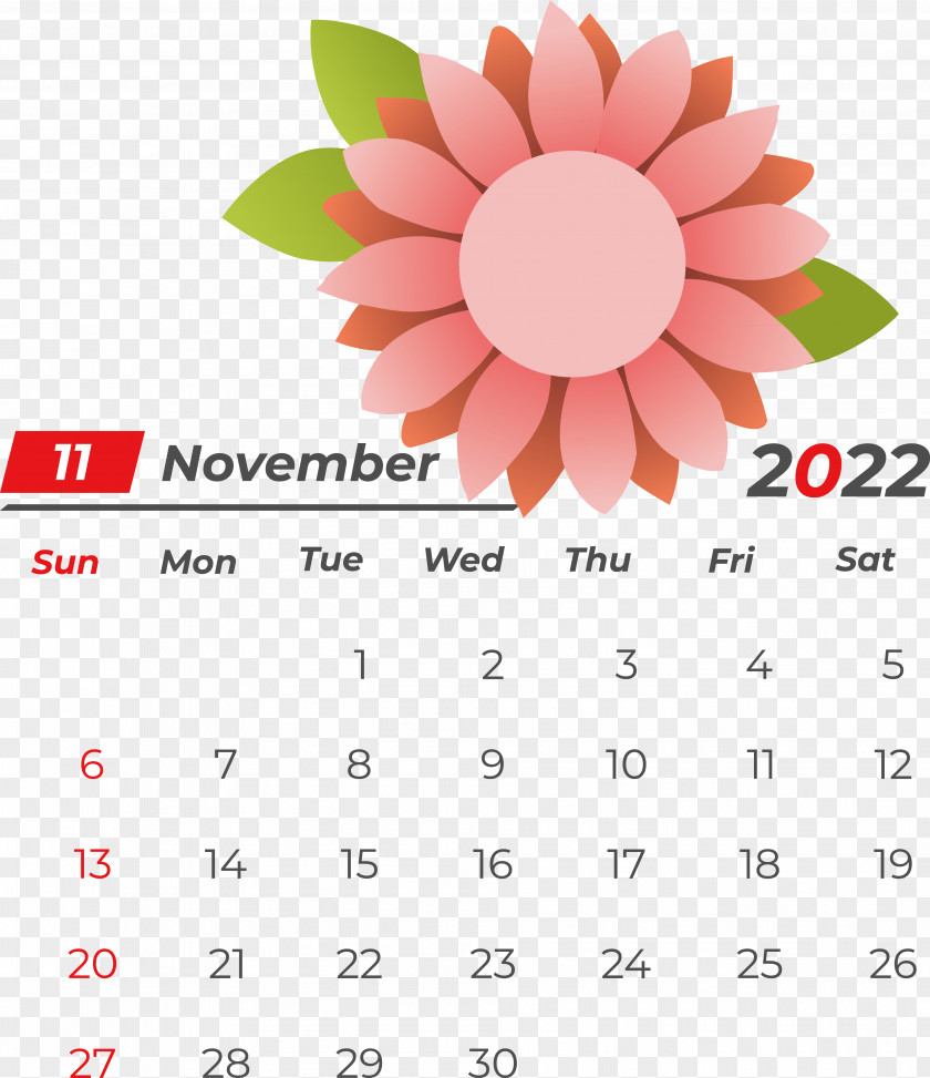 Flower Calendar Font Line Petal PNG