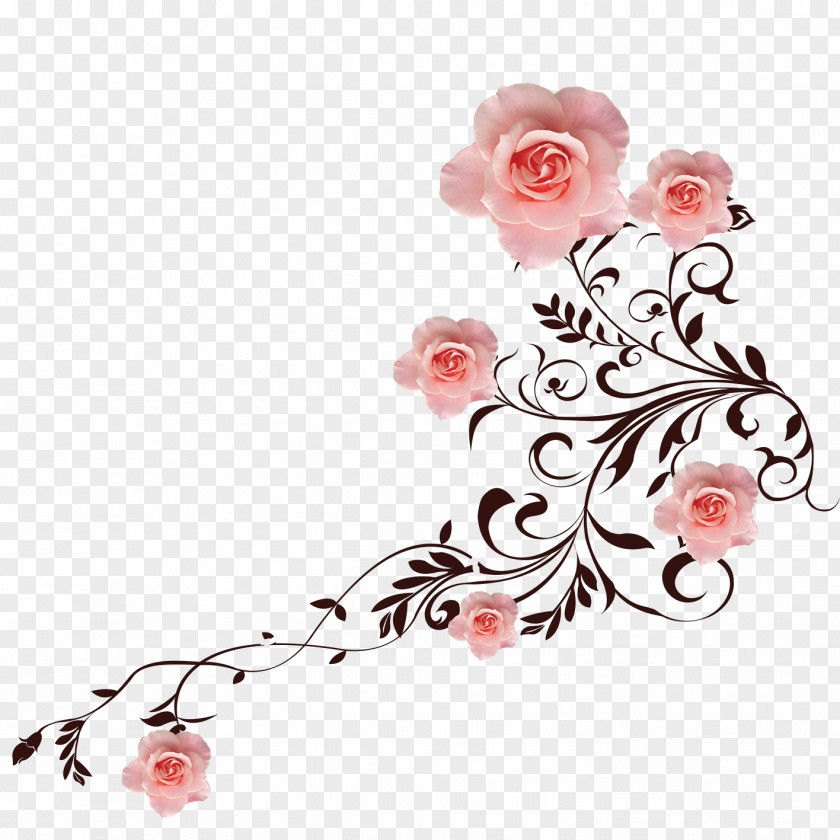 Flowers Rose Flower Petal Clip Art PNG
