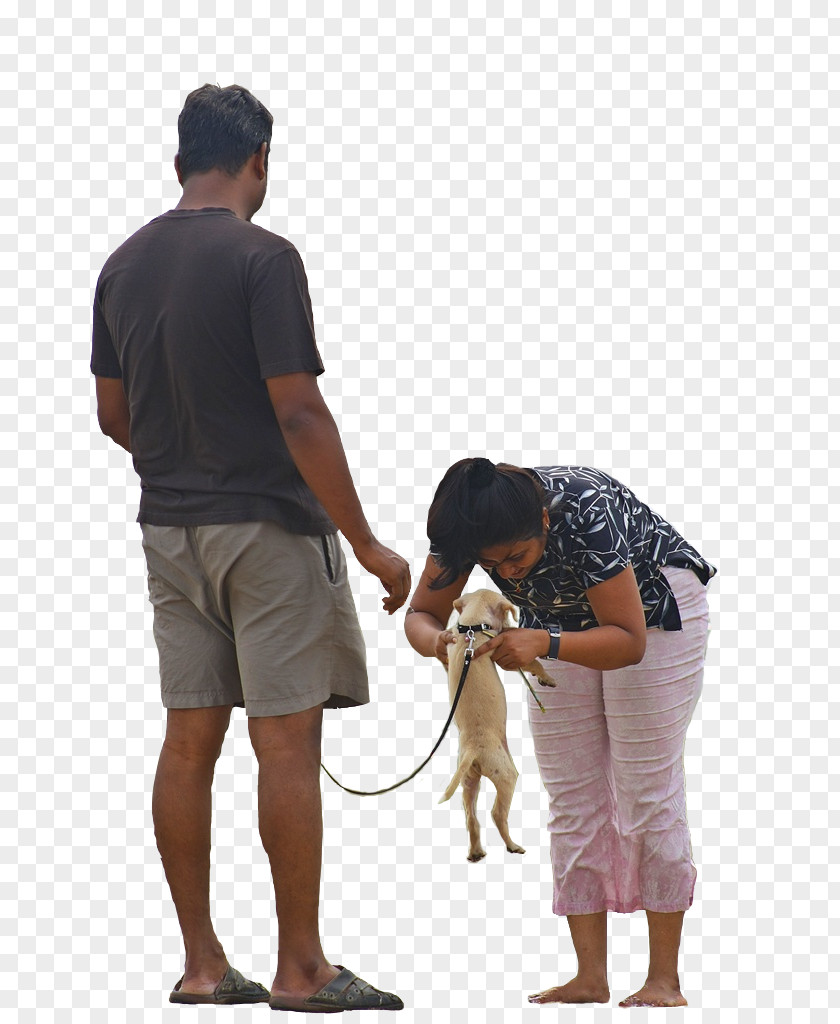 Yoga Dogs Walking Photography PNG