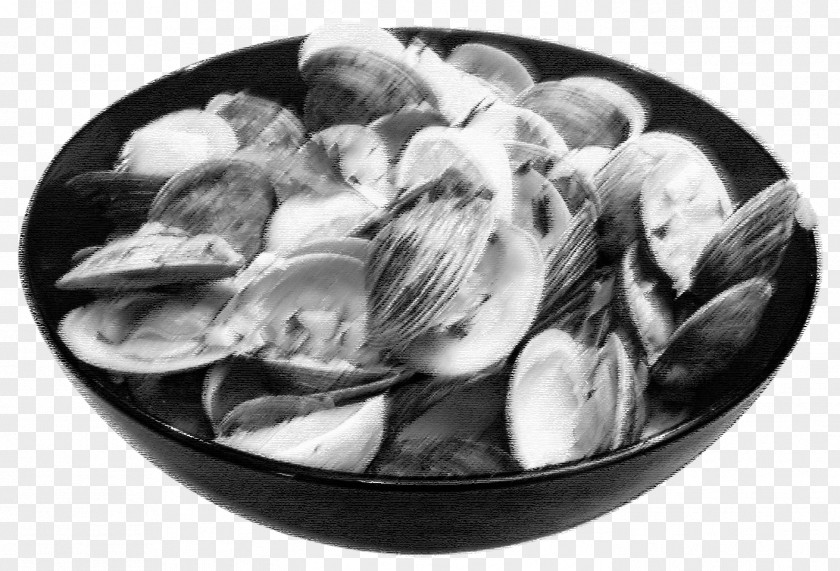 Cooking Steamed Clams Mussel Clam Sauce Chowder PNG