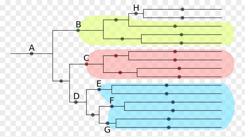 Green Blue Red Offspring Cladistics PNG