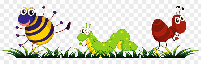 Insect Drawing Clip Art PNG
