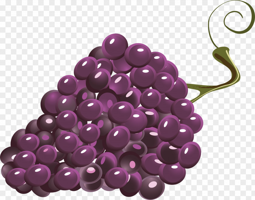 Kiwifruit Grape YouTube Education 7 Days Of The Week Hello PNG