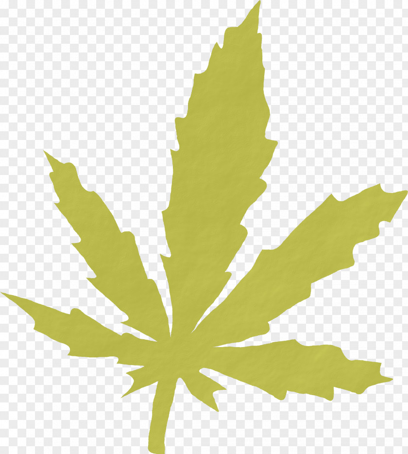 Leaf Cannabis Smoking Medical Legality Of Clip Art PNG