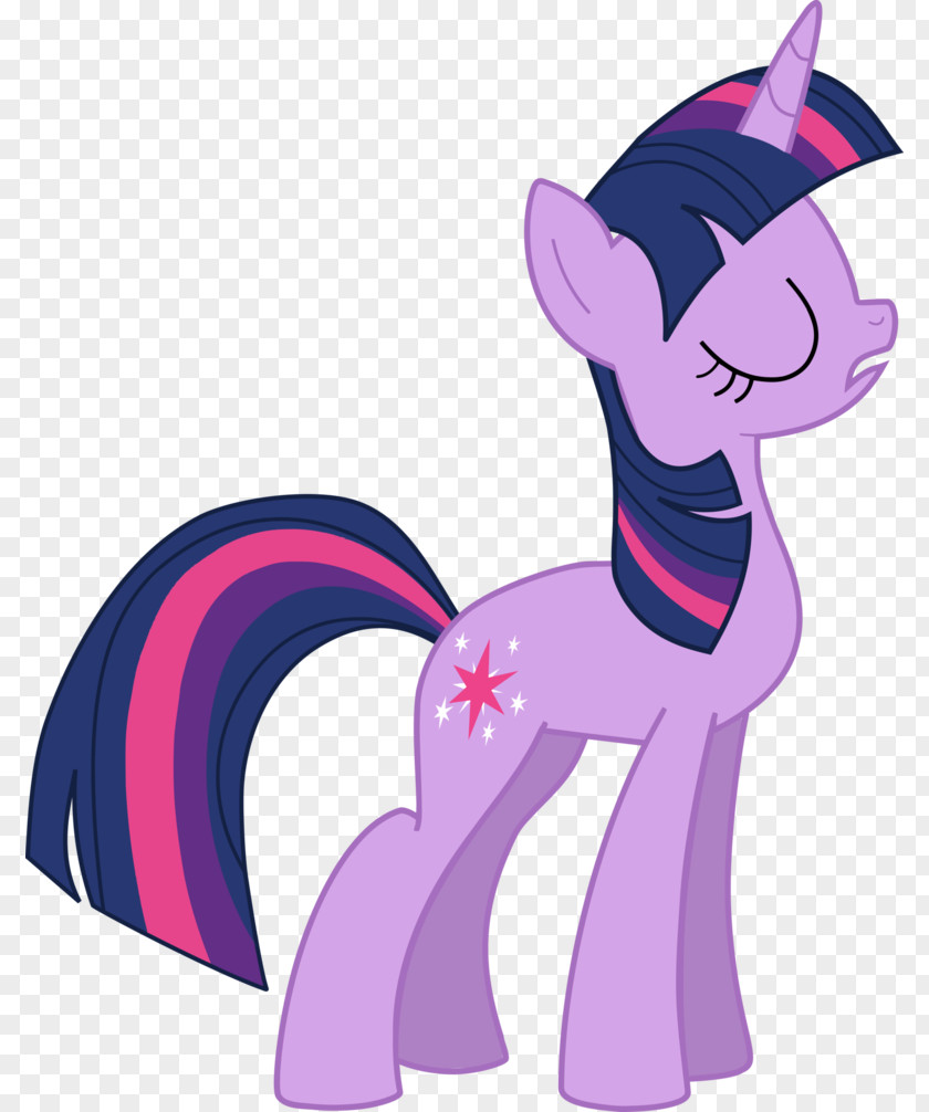 My Little Pony Twilight Sparkle Rainbow Dash Rarity Pinkie Pie PNG